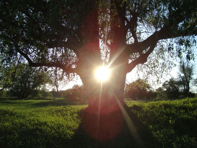 Naturcoaching