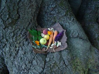 Ernährung und Gesundheit