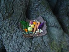 Ernährung und Gesundheit