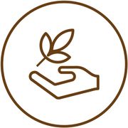 Icon Coaching