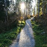 Impuls-Seminare zum Thema ‚Bewusst-Sein‘