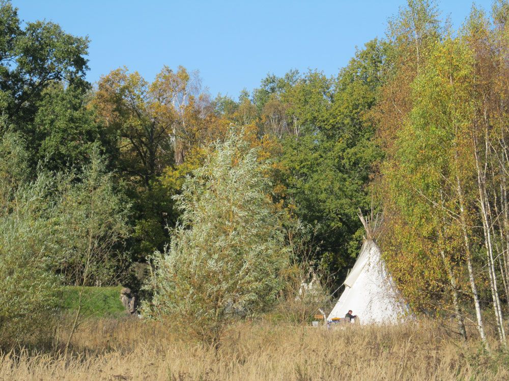 Huskyakademie für Kids und Teens - Tipi