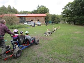 • Husky Akademie – Fortbildung und Selbsterfahrung