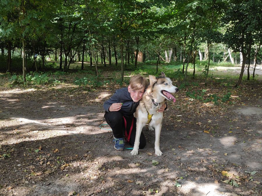 Huskyakademie Kids und Teens