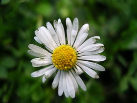 Mutter Kind Wochenende