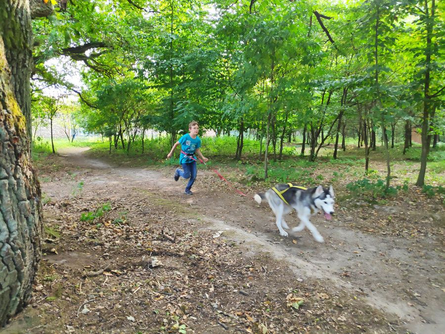 Huskyakademie Kids und Teens