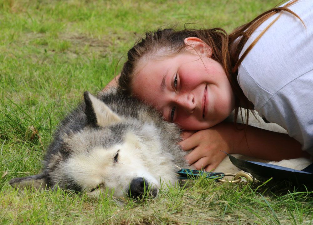 Huskyakademie für Kids und Teens - Husky kuscheln