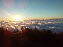 Astrologie und Heilwissen