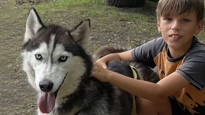 Husky Adventure