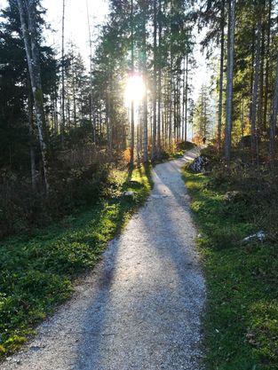 Ganzheitliche und gesunde Zielplanung