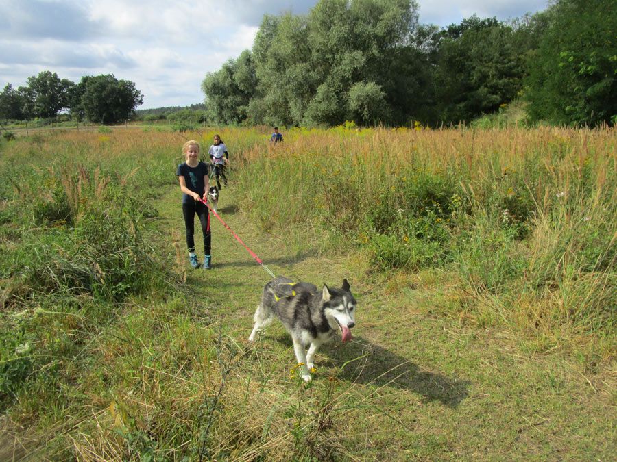 Huskyakademie Kids und Teens